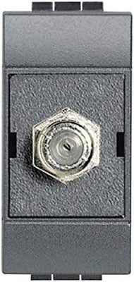 Dettaglio 1