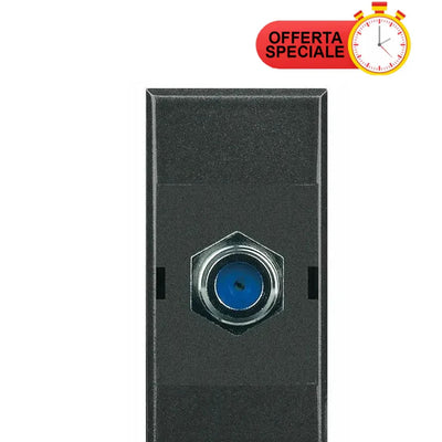 Dettaglio 2