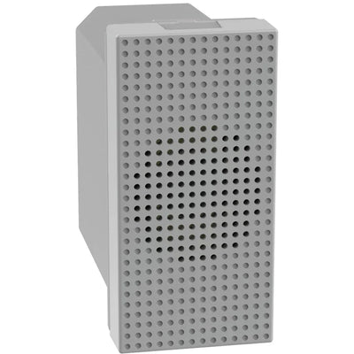 Dettaglio 1