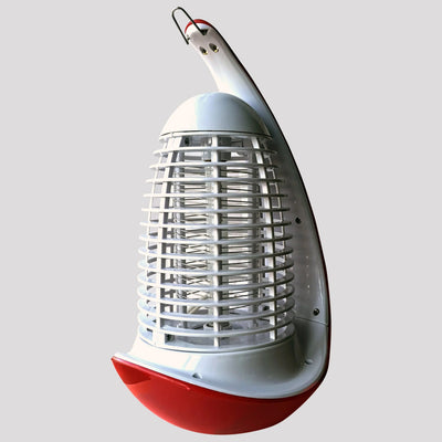 Dettaglio 2