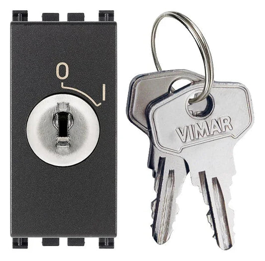 Interruttore VIMAR 2P 16(3)A + Chiave Grigio - Sicurezza e Affidabilità - SKU 19083
