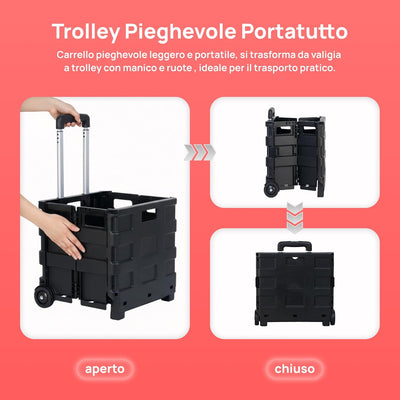 Dettaglio 2