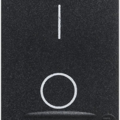 Dettaglio 1