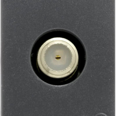 Dettaglio 2
