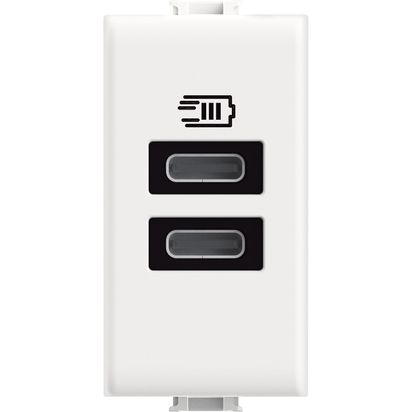 Caricatore USB con due porte tipo C per ricarica simultanea fino a 15W, colore bianco, design compatto.